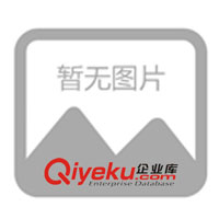 供应EL发光线\EL冷光线\发光线\冷光线\闪光灯\冷光灯(图)